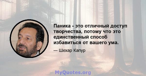 Паника - это отличный доступ творчества, потому что это единственный способ избавиться от вашего ума.