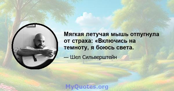 Мягкая летучая мышь отпугнула от страха: «Включись на темноту, я боюсь света.