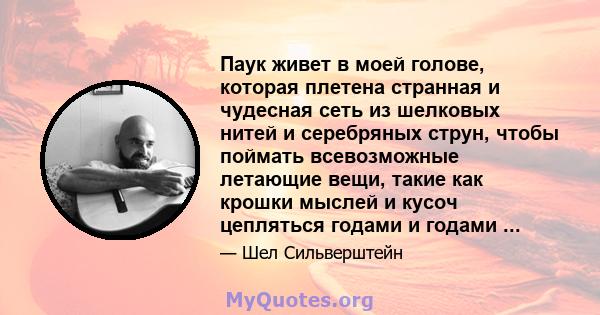 Паук живет в моей голове, которая плетена странная и чудесная сеть из шелковых нитей и серебряных струн, чтобы поймать всевозможные летающие вещи, такие как крошки мыслей и кусоч цепляться годами и годами ...