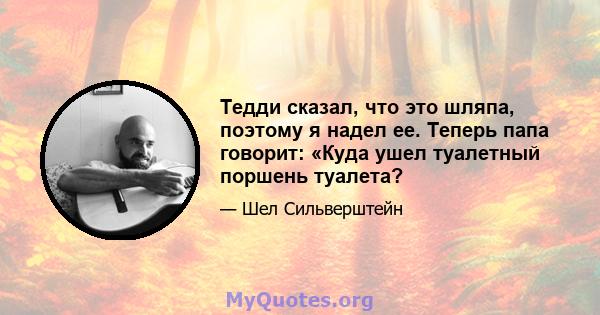 Тедди сказал, что это шляпа, поэтому я надел ее. Теперь папа говорит: «Куда ушел туалетный поршень туалета?