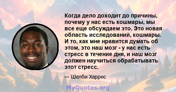 Когда дело доходит до причины, почему у нас есть кошмары, мы все еще обсуждаем это. Это новая область исследований, кошмары. И то, как мне нравится думать об этом, это наш мозг - у нас есть стресс в течение дня, и наш