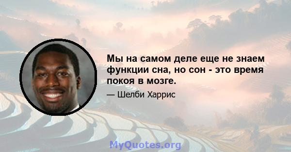 Мы на самом деле еще не знаем функции сна, но сон - это время покоя в мозге.