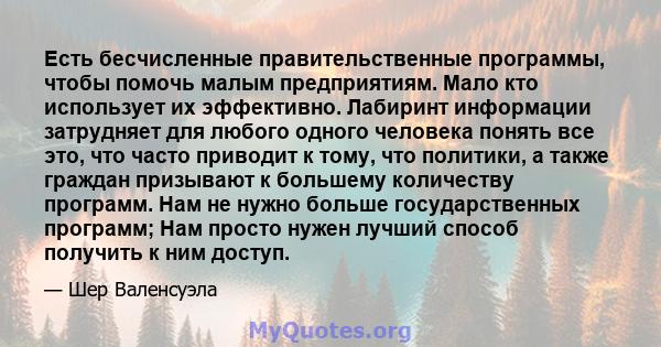 Есть бесчисленные правительственные программы, чтобы помочь малым предприятиям. Мало кто использует их эффективно. Лабиринт информации затрудняет для любого одного человека понять все это, что часто приводит к тому, что 