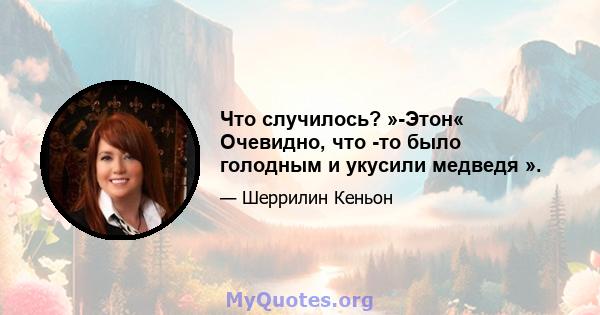 Что случилось? »-Этон« Очевидно, что -то было голодным и укусили медведя ».