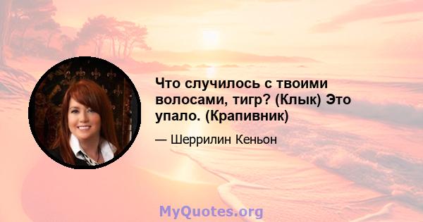 Что случилось с твоими волосами, тигр? (Клык) Это упало. (Крапивник)