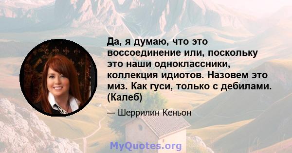 Да, я думаю, что это воссоединение или, поскольку это наши одноклассники, коллекция идиотов. Назовем это миз. Как гуси, только с дебилами. (Калеб)