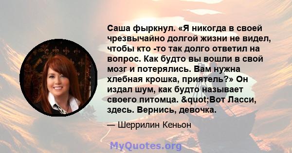 Саша фыркнул. «Я никогда в своей чрезвычайно долгой жизни не видел, чтобы кто -то так долго ответил на вопрос. Как будто вы вошли в свой мозг и потерялись. Вам нужна хлебная крошка, приятель?» Он издал шум, как будто