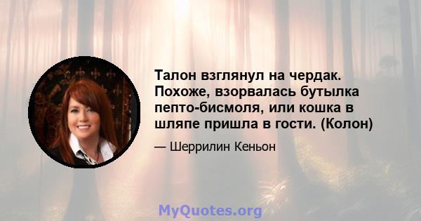 Талон взглянул на чердак. Похоже, взорвалась бутылка пепто-бисмоля, или кошка в шляпе пришла в гости. (Колон)