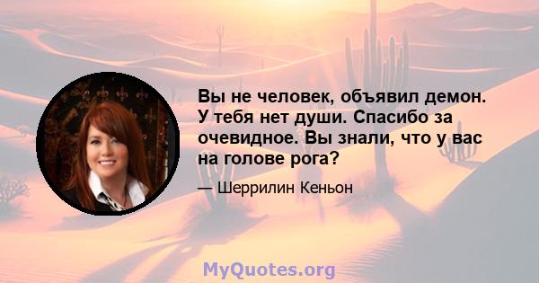 Вы не человек, объявил демон. У тебя нет души. Спасибо за очевидное. Вы знали, что у вас на голове рога?