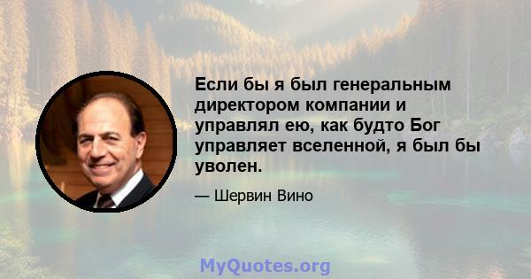 Если бы я был генеральным директором компании и управлял ею, как будто Бог управляет вселенной, я был бы уволен.