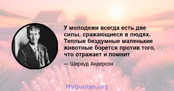 У молодежи всегда есть две силы, сражающиеся в людях. Теплые бездумные маленькие животные борется против того, что отражает и помнит