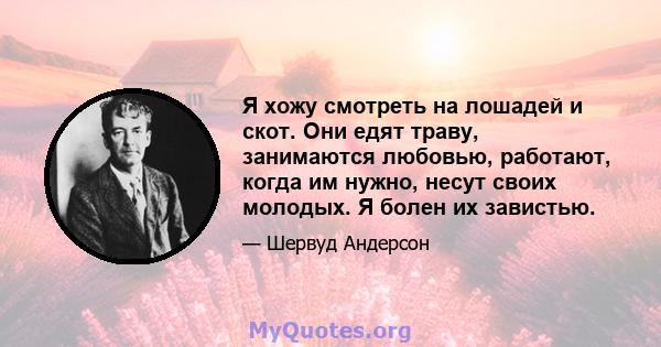 Я хожу смотреть на лошадей и скот. Они едят траву, занимаются любовью, работают, когда им нужно, несут своих молодых. Я болен их завистью.