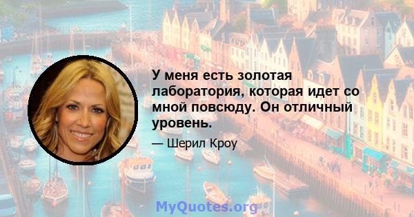 У меня есть золотая лаборатория, которая идет со мной повсюду. Он отличный уровень.