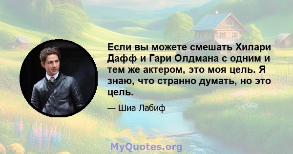 Если вы можете смешать Хилари Дафф и Гари Олдмана с одним и тем же актером, это моя цель. Я знаю, что странно думать, но это цель.