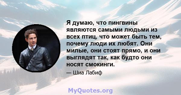 Я думаю, что пингвины являются самыми людьми из всех птиц, что может быть тем, почему люди их любят. Они милые, они стоят прямо, и они выглядят так, как будто они носят смокинги.