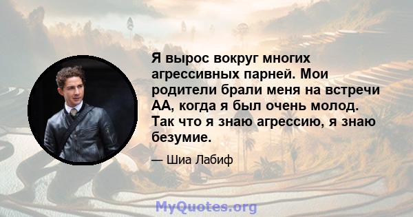 Я вырос вокруг многих агрессивных парней. Мои родители брали меня на встречи АА, когда я был очень молод. Так что я знаю агрессию, я знаю безумие.