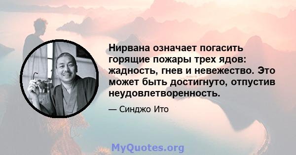 Нирвана означает погасить горящие пожары трех ядов: жадность, гнев и невежество. Это может быть достигнуто, отпустив неудовлетворенность.