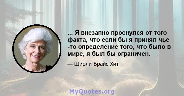 ... Я внезапно проснулся от того факта, что если бы я принял чье -то определение того, что было в мире, я был бы ограничен.