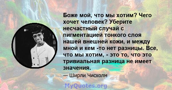 Боже мой, что мы хотим? Чего хочет человек? Уберите несчастный случай с пигментацией тонкого слоя нашей внешней кожи, и между мной и кем -то нет разницы. Все, что мы хотим, - это то, что это тривиальная разница не имеет 