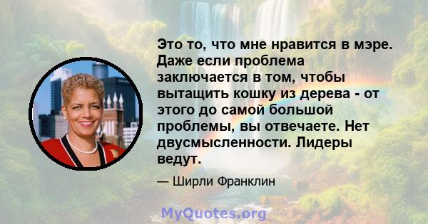 Это то, что мне нравится в мэре. Даже если проблема заключается в том, чтобы вытащить кошку из дерева - от этого до самой большой проблемы, вы отвечаете. Нет двусмысленности. Лидеры ведут.