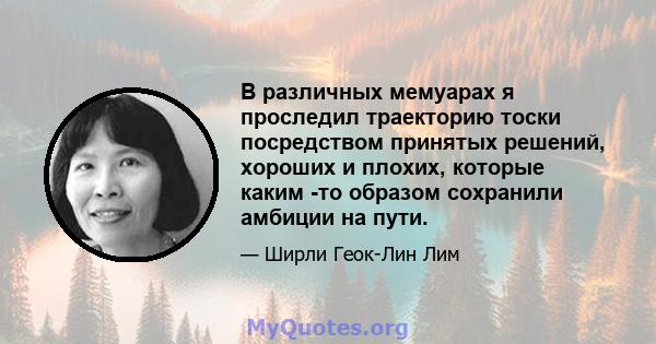 В различных мемуарах я проследил траекторию тоски посредством принятых решений, хороших и плохих, которые каким -то образом сохранили амбиции на пути.