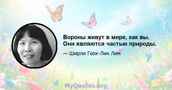 Вороны живут в мире, как вы. Они являются частью природы.