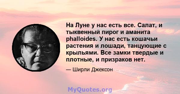 На Луне у нас есть все. Салат, и тыквенный пирог и аманита phalloides. У нас есть кошачьи растения и лошади, танцующие с крыльями. Все замки твердые и плотные, и призраков нет.