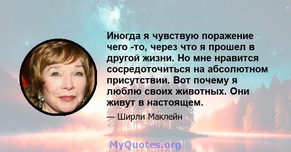 Иногда я чувствую поражение чего -то, через что я прошел в другой жизни. Но мне нравится сосредоточиться на абсолютном присутствии. Вот почему я люблю своих животных. Они живут в настоящем.