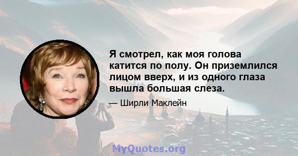 Я смотрел, как моя голова катится по полу. Он приземлился лицом вверх, и из одного глаза вышла большая слеза.