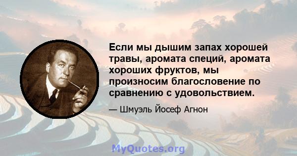 Если мы дышим запах хорошей травы, аромата специй, аромата хороших фруктов, мы произносим благословение по сравнению с удовольствием.