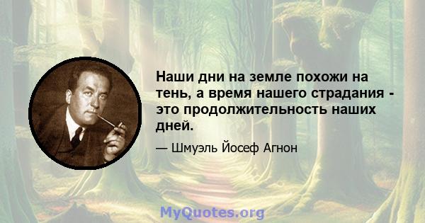 Наши дни на земле похожи на тень, а время нашего страдания - это продолжительность наших дней.