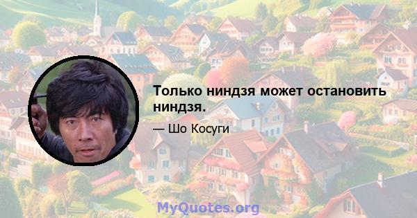 Только ниндзя может остановить ниндзя.