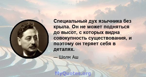 Специальный дух язычника без крыла. Он не может подняться до высот, с которых видна совокупность существования, и поэтому он теряет себя в деталях.