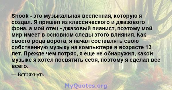 Shook - это музыкальная вселенная, которую я создал. Я пришел из классического и джазового фона, а мой отец - джазовый пианист, поэтому мой мир имеет в основном следы этого влияния. Как своего рода ворота, я начал