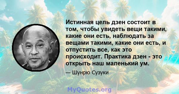 Истинная цель дзен состоит в том, чтобы увидеть вещи такими, какие они есть, наблюдать за вещами такими, какие они есть, и отпустить все, как это происходит. Практика дзен - это открыть наш маленький ум.