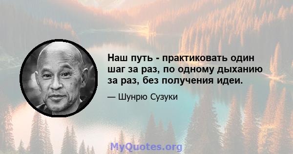 Наш путь - практиковать один шаг за раз, по одному дыханию за раз, без получения идеи.