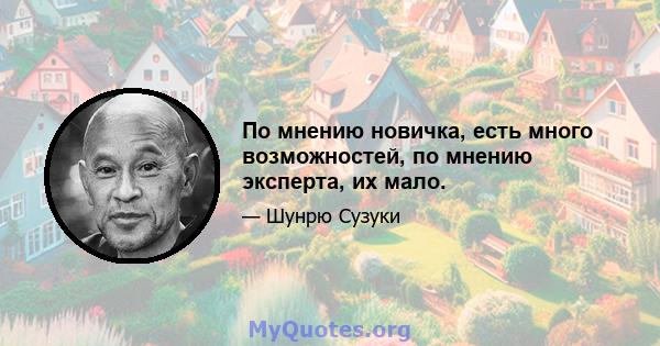 По мнению новичка, есть много возможностей, по мнению эксперта, их мало.