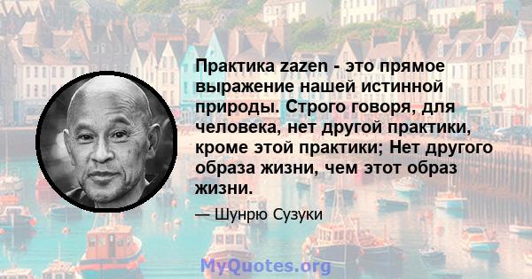 Практика zazen - это прямое выражение нашей истинной природы. Строго говоря, для человека, нет другой практики, кроме этой практики; Нет другого образа жизни, чем этот образ жизни.