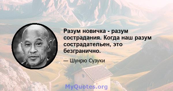 Разум новичка - разум сострадания. Когда наш разум сострадательен, это безгранично.