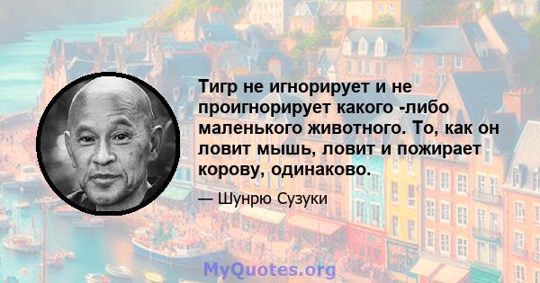 Тигр не игнорирует и не проигнорирует какого -либо маленького животного. То, как он ловит мышь, ловит и пожирает корову, одинаково.