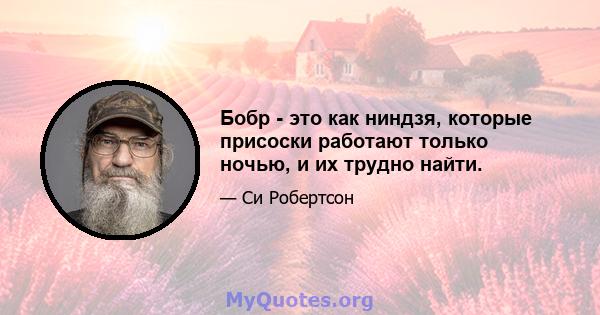 Бобр - это как ниндзя, которые присоски работают только ночью, и их трудно найти.