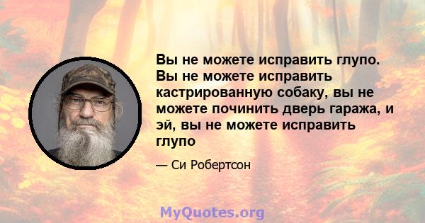 Вы не можете исправить глупо. Вы не можете исправить кастрированную собаку, вы не можете починить дверь гаража, и эй, вы не можете исправить глупо