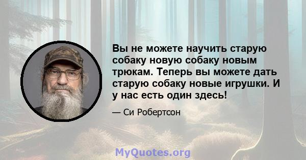 Вы не можете научить старую собаку новую собаку новым трюкам. Теперь вы можете дать старую собаку новые игрушки. И у нас есть один здесь!