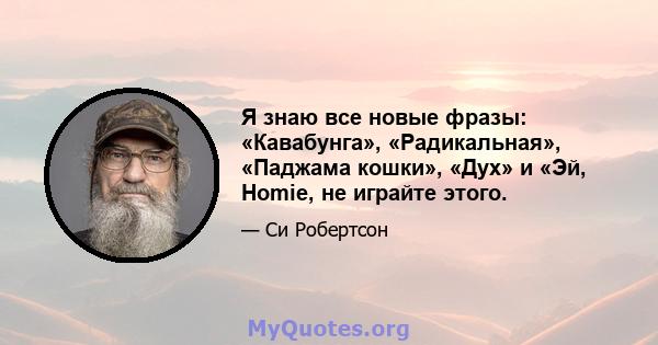 Я знаю все новые фразы: «Кавабунга», «Радикальная», «Паджама кошки», «Дух» и «Эй, Homie, не играйте этого.