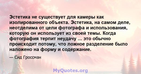 Эстетика не существует для камеры как изолированного объекта. Эстетика, на самом деле, неотделима от цели фотографа и использования, которую он использует из своей темы. Когда фотография терпит неудачу ... это обычно