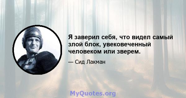 Я заверил себя, что видел самый злой блок, увековеченный человеком или зверем.