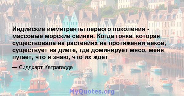 Индийские иммигранты первого поколения - массовые морские свинки. Когда гонка, которая существовала на растениях на протяжении веков, существует на диете, где доминирует мясо, меня пугает, что я знаю, что их ждет