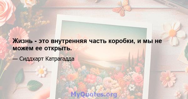 Жизнь - это внутренняя часть коробки, и мы не можем ее открыть.