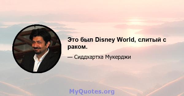 Это был Disney World, слитый с раком.