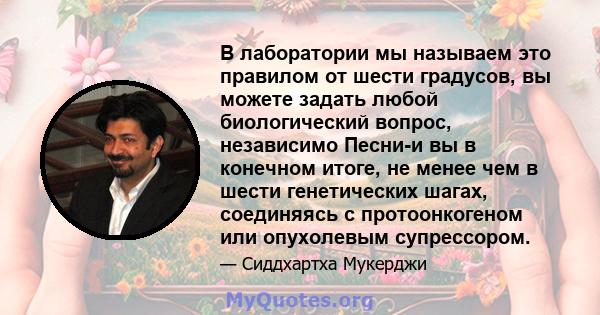 В лаборатории мы называем это правилом от шести градусов, вы можете задать любой биологический вопрос, независимо Песни-и вы в конечном итоге, не менее чем в шести генетических шагах, соединяясь с протоонкогеном или